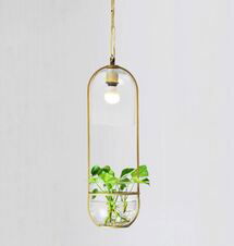 Online Designer Business/Office Hanging plant vase pendant light in brass