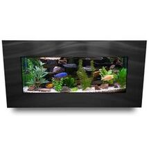 Online Designer Living Room Angelica 5 Gallon Rectangle Aquarium Tank