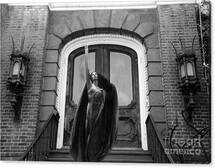 Online Designer Bedroom Surreal Gothic Black and White Female Figure Black Cape