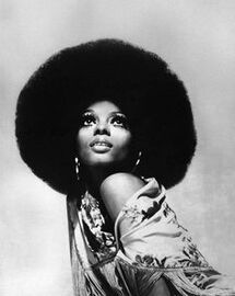 Online Designer Kitchen Diana Ross Photo Print