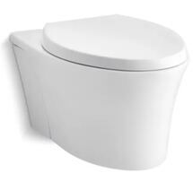 Online Designer Bathroom Veil One-Piece Elongated Dual-Flush Wall-Hung Toilet with Reveal Quiet-Close Seat