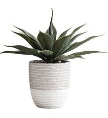 Online Designer Kitchen Faux Plant