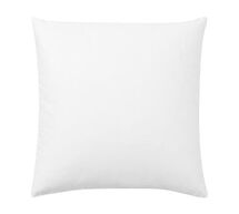 Online Designer Living Room Pillow Insert Select Size: 20" Square