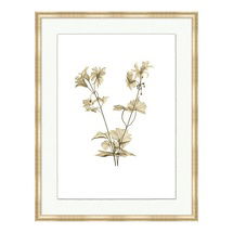 Online Designer Bathroom Fragile Blossoms Art-Print VI