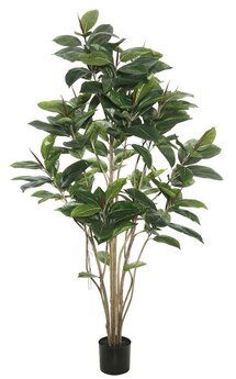 Online Designer Studio Darby Home Co Rubber Foliage Tree in Pot