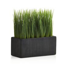 Online Designer Home/Small Office Large Potted Grass