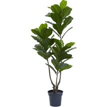 Online Designer Living Room Fiddle Leaf Tree