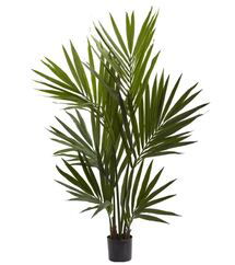 Online Designer Combined Living/Dining Kentia Palm Silk Tree in Pot