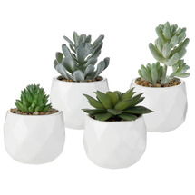 Online Designer Patio 4.3'' Faux Succulent Plant in Ceramic Pot