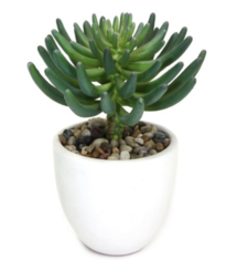 Online Designer Home/Small Office 11" Spike Succulent w/ Bell Planter, Faux