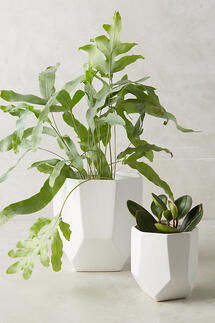 Online Designer Living Room Cut Ceramic Planter