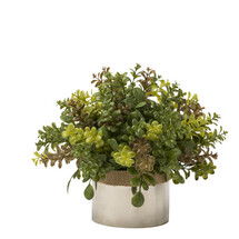 Online Designer Bedroom Faux Boxwood Plant in Pot