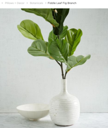 Online Designer Living Room Fiddle Leaf Fig Branch 