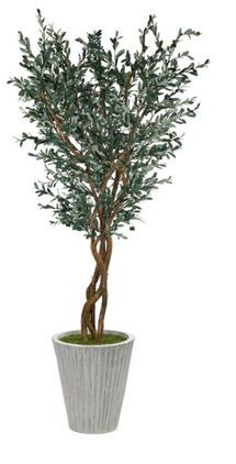 Online Designer Living Room Olive Tree