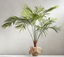 Online Designer Combined Living/Dining FAUX POTTED PALM TREE