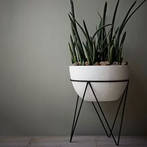 Online Designer Living Room Iris Planter + Chevron Stand