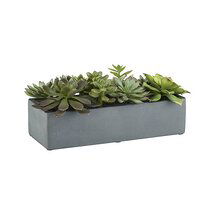 Online Designer Bedroom Artificial Succulents in a Pot