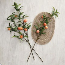 Online Designer Living Room Peach Stems - Set of 3