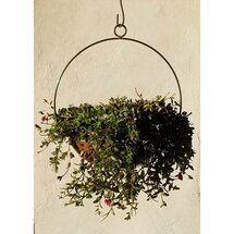 Online Designer Combined Living/Dining Handmade Circular Frame and Planter