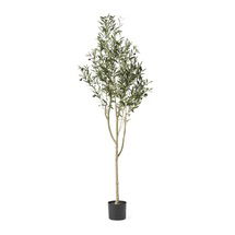 Online Designer Living Room Aarav Faux Olive Tree Tree in Pot