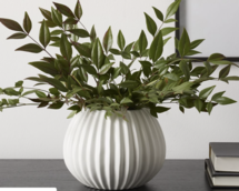 Online Designer Dining Room Sanibel Textured Ceramic Vases - White