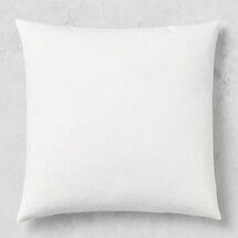 Online Designer Combined Living/Dining Down Pillow Insert, 22" X 22"