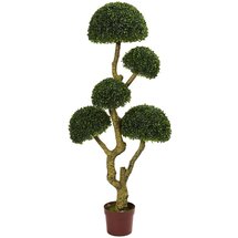 Online Designer Other 5' Five Head Boxwood Topiary