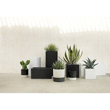 Online Designer Business/Office blox 24" low galvanized charcoal planter