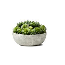 Online Designer Business/Office 7'' Faux Succulent Plant in Stone Pot