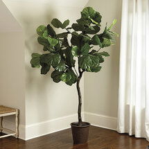 Online Designer Combined Living/Dining Bunny Williams Faux Fiddle Leaf Fig Tree