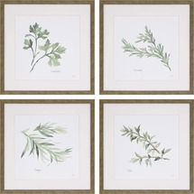 Online Designer Kitchen 'Herbs' 4 Piece Framed Graphic Art Print Set