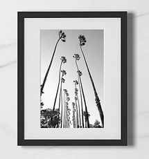 Online Designer Living Room PALM TREES ROAD WITH BLACK FRAME 17.5"X21.5"