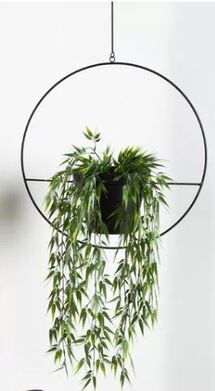 Online Designer Bathroom Isai Hoop Metal Hanging Planter