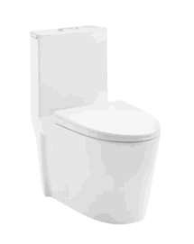Online Designer Bathroom St. Tropez® 1.6 "GPF" Elongated One-Piece Toilet (Seat Included)
