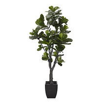 Online Designer Home/Small Office Fiddle Leaf Tree