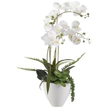 Online Designer Bathroom Orchids Floral Arrangement in Ceramic Bowl