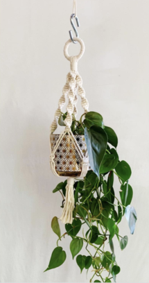 Online Designer Living Room Macrame Plant Hanger Kit