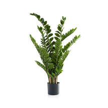 Online Designer Dining Room 51" Faux Potted ZZ Plant