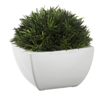 Online Designer Bedroom Artificial Potted Moss