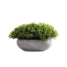 Online Designer Dining Room 7'' Faux Boxwood Plant in Ceramic Pot