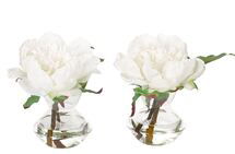 Online Designer Bedroom Peony | Set of 2