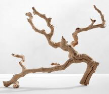 Online Designer Combined Living/Dining Dried Grapewood Branch