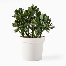 Online Designer Home/Small Office Faux Potted Jade Plant