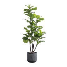 Online Designer Bedroom 49'' Artificial Fiddle Leaf Fig Tree in Pot