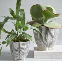 Online Designer Combined Living/Dining Art in the Forest Handpainted Cachepots - Herringbone