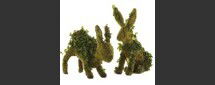 Online Designer Living Room Live Ivy Bunny topiaries