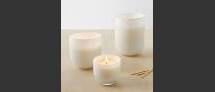 Online Designer Bathroom White Glass Candles - Marine Moss - West Elm