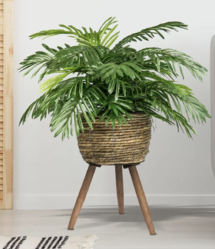 Online Designer Living Room Holiman 30" Palm Plant in Basket