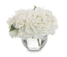 Online Designer Bedroom John Richard Simply White Plant