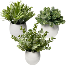 Online Designer Business/Office Digby Artificial Plant Eucalyptus in White Pot (Set of 3)